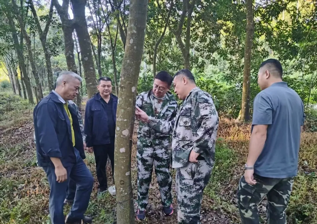 050ff936e58644179da0ed4dd749d6b3