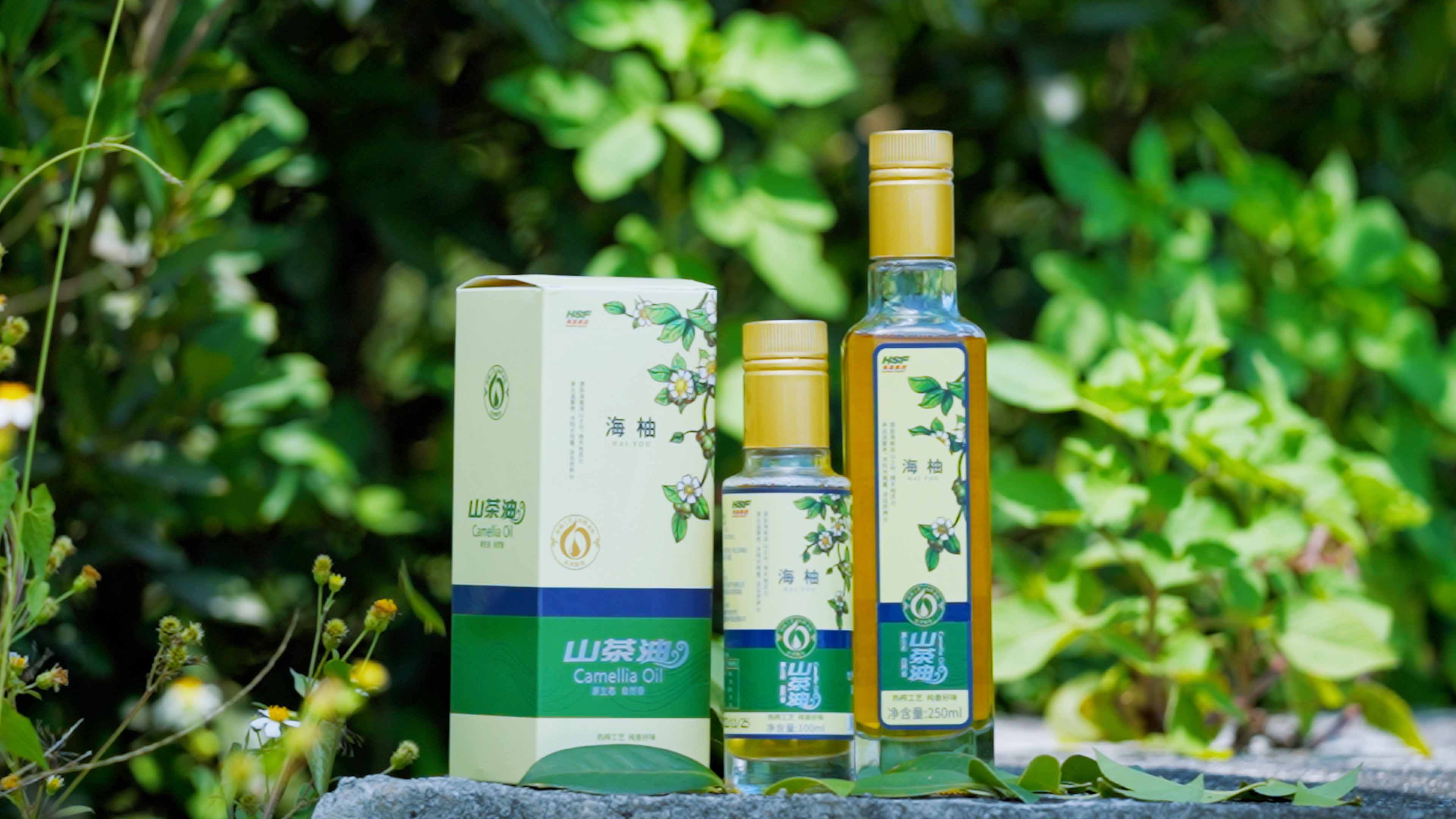 豪利777乐香山茶油