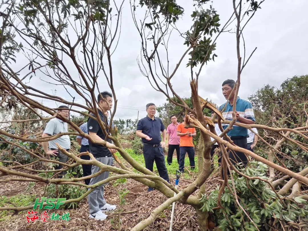 55b433cc037e4f048096b3be98ab104d