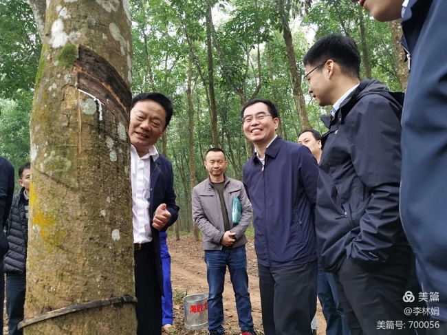 豪利777(OLE777)官方网站