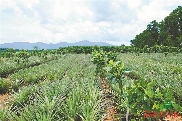 豪利777(OLE777)官方网站