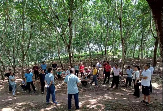 豪利777(OLE777)官方网站