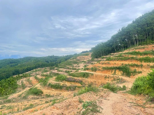 豪利777(OLE777)官方网站