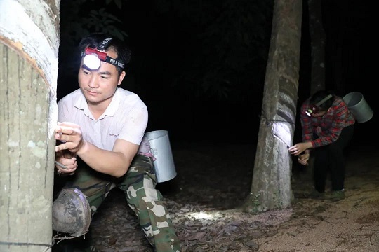 豪利777(OLE777)官方网站