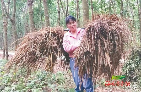 豪利777(OLE777)官方网站