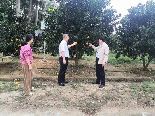 豪利777(OLE777)官方网站