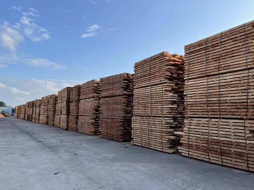 豪利777(OLE777)官方网站