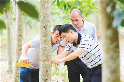 豪利777(OLE777)官方网站