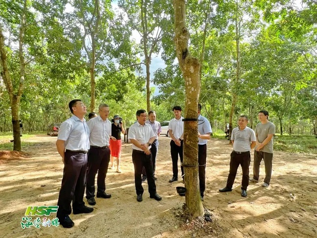 豪利777(OLE777)官方网站