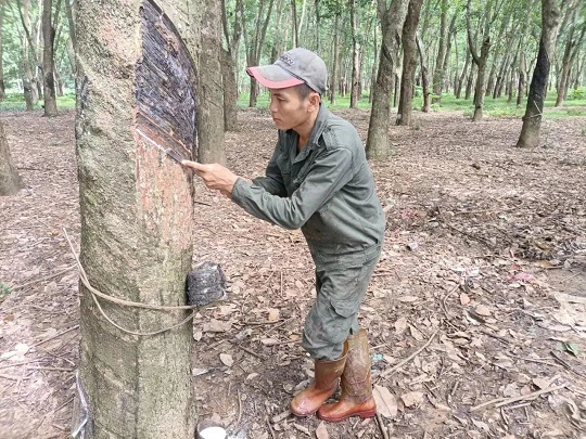 豪利777(OLE777)官方网站