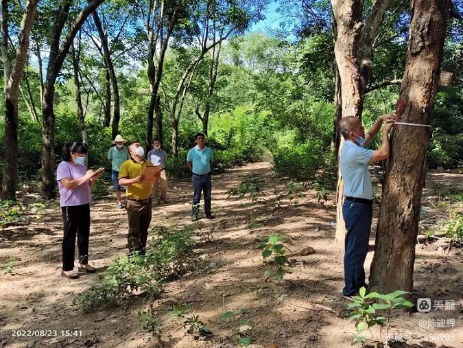 豪利777(OLE777)官方网站