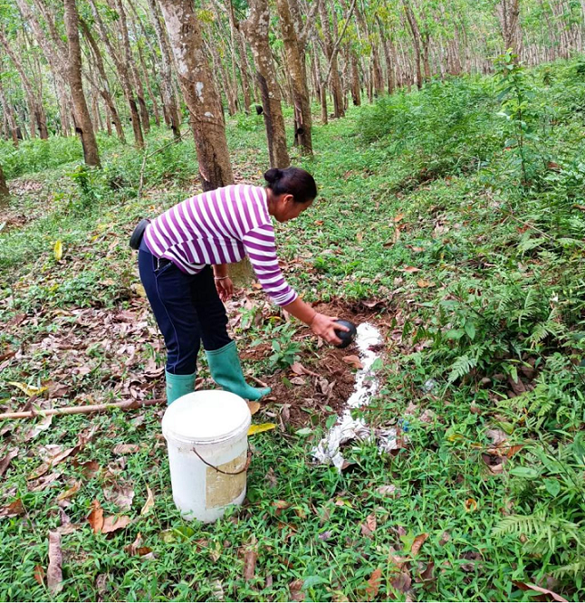 豪利777(OLE777)官方网站