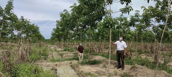 豪利777(OLE777)官方网站