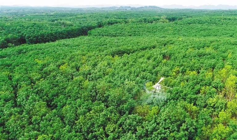 豪利777(OLE777)官方网站