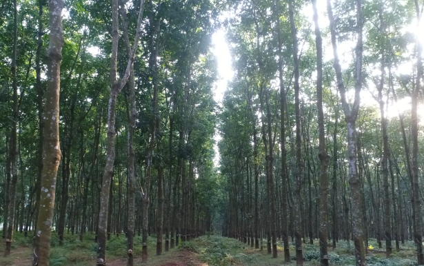 豪利777(OLE777)官方网站