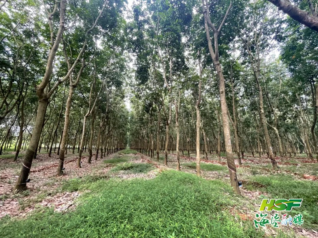 豪利777(OLE777)官方网站