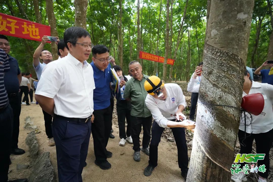 豪利777(OLE777)官方网站