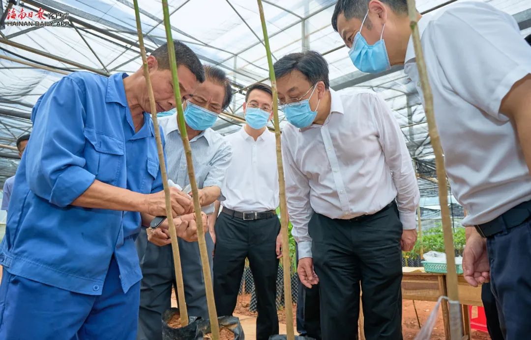 豪利777(OLE777)官方网站