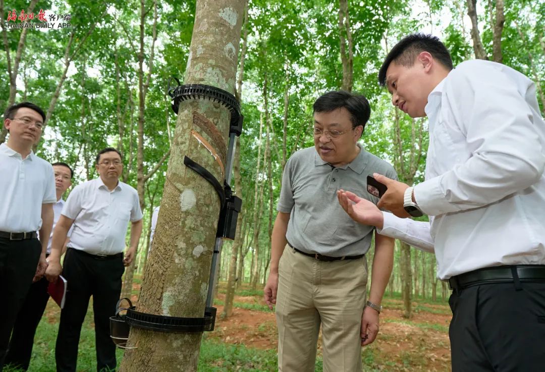 豪利777(OLE777)官方网站