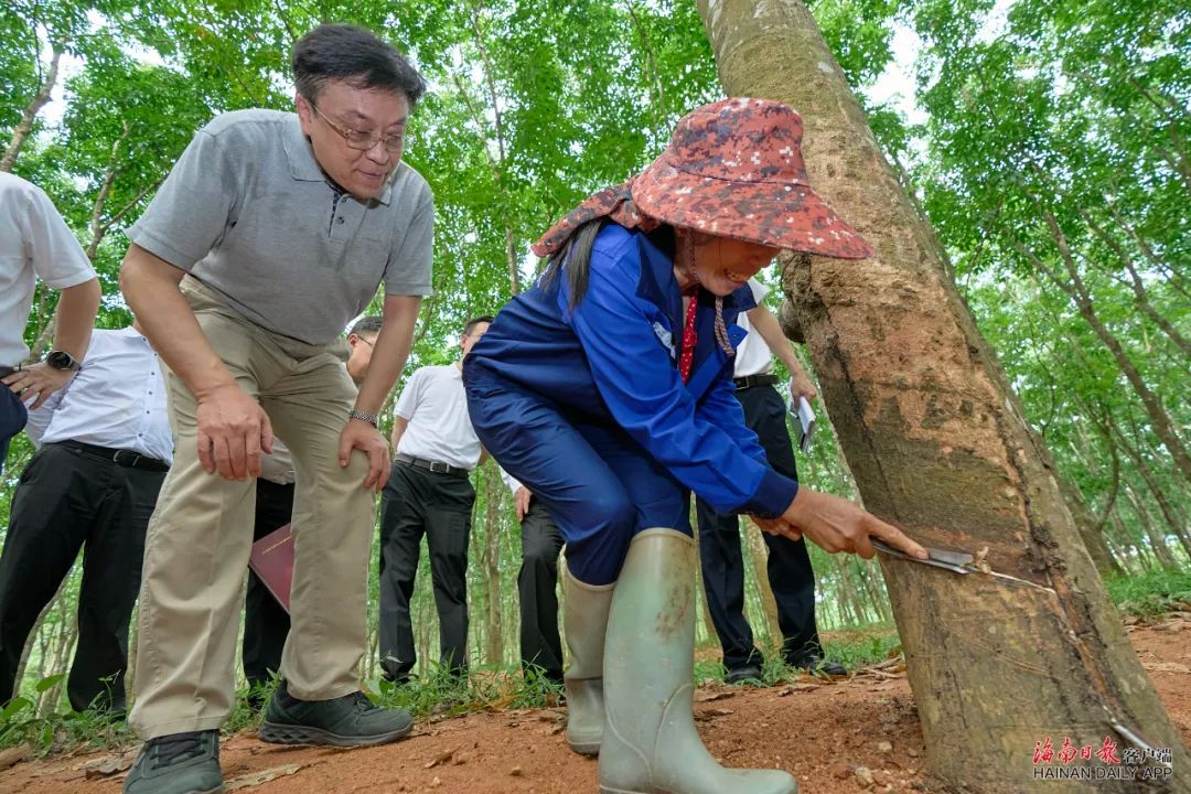 豪利777(OLE777)官方网站