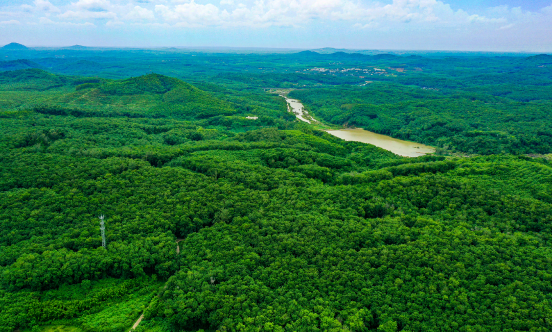 豪利777(OLE777)官方网站