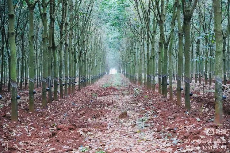 豪利777(OLE777)官方网站