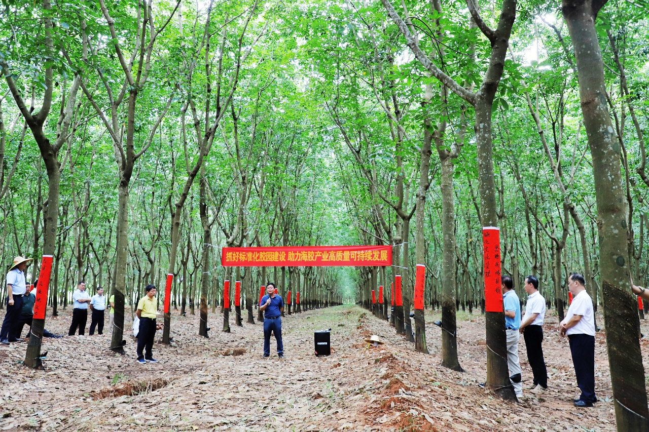 豪利777(OLE777)官方网站