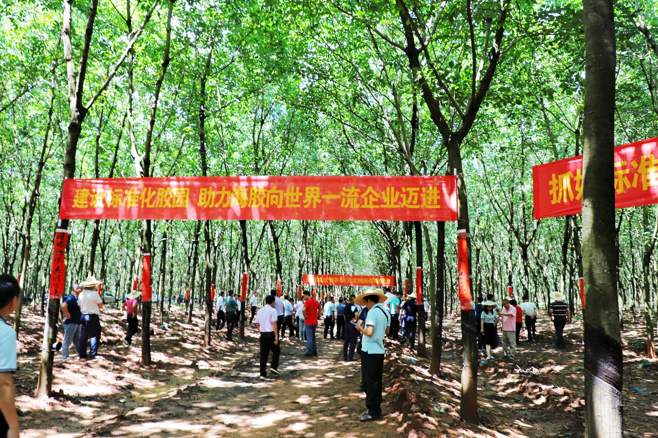 豪利777(OLE777)官方网站